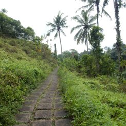 ubud-bali-campuhan ridge walk 04 (2)